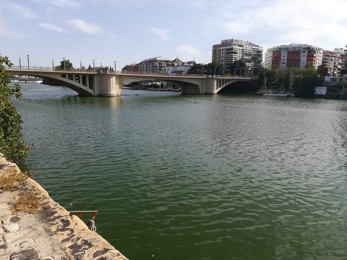 Imagen 10 de Puente de San Telmo