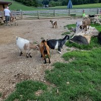 Fox's High Rock Farm (Logan) - All You Need to Know BEFORE You Go