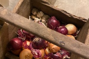 Ristorazione
