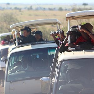 9 days kenya tanzania safari