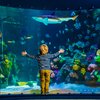 SeaLifeHelsinki