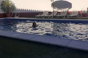 Piscina e praia
