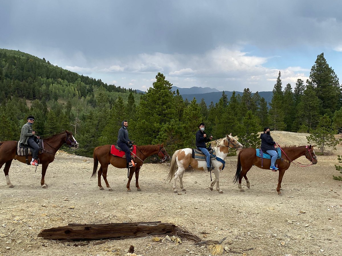 A&A Historical Trails Stables - Day Tours (Idaho Springs) - All You ...