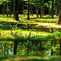 アートビオトープ「水庭」Artbiotop Water garden"MIZUNIWA"