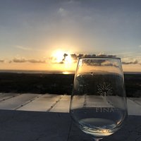 Fina Vini