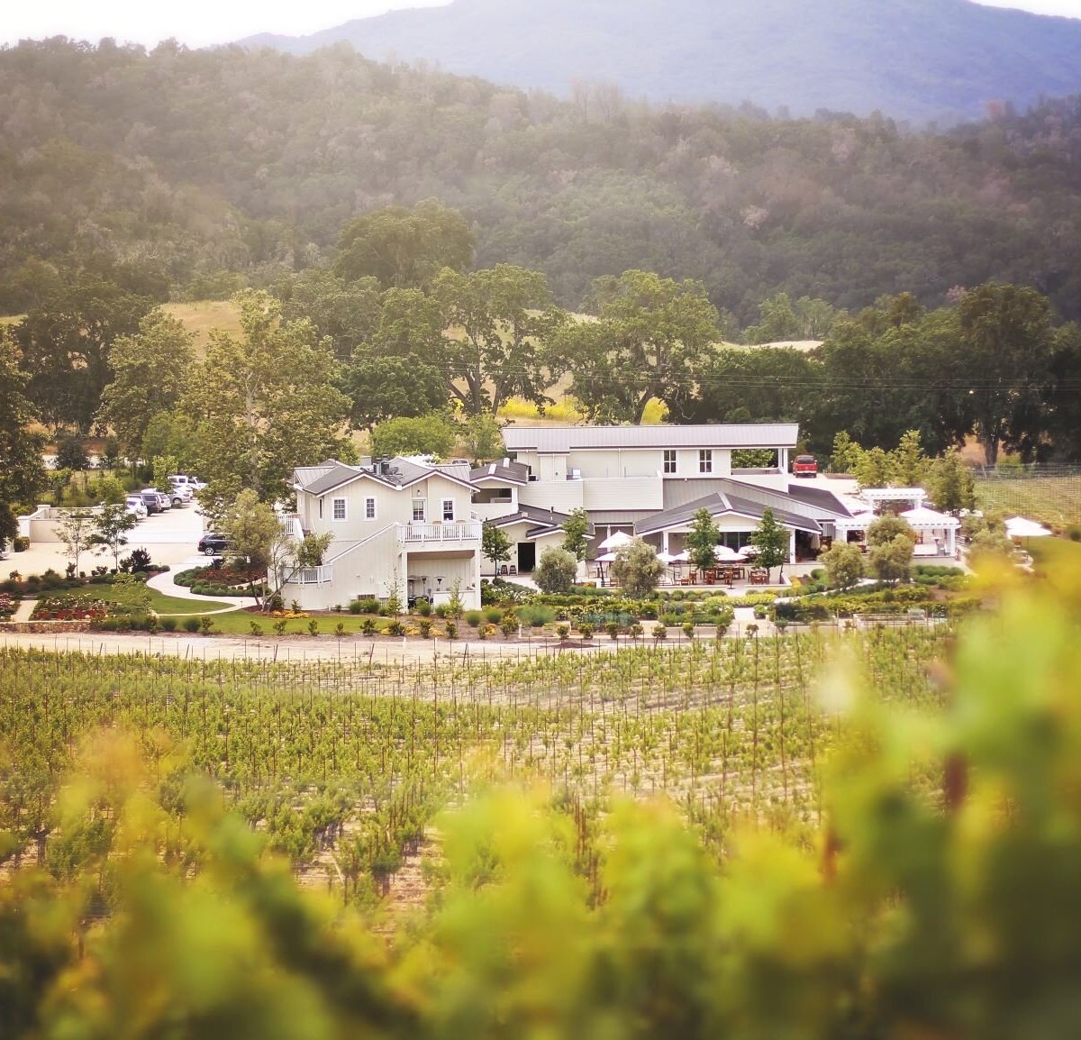 JUSTIN Vineyards & Winery (2025) - All You Need to Know BEFORE You Go