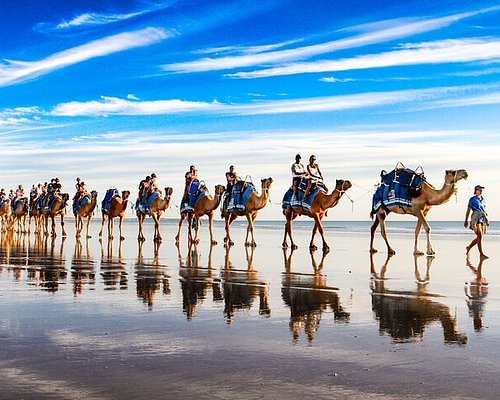 tours out of broome