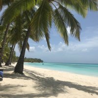 Saona Island (La Altagracia Province) - All You Need to Know BEFORE You Go