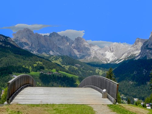 Cavalos Loiros Sorrir Prado Siusi Alpes Trentino Alto Adige Itália