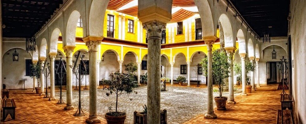Olivares