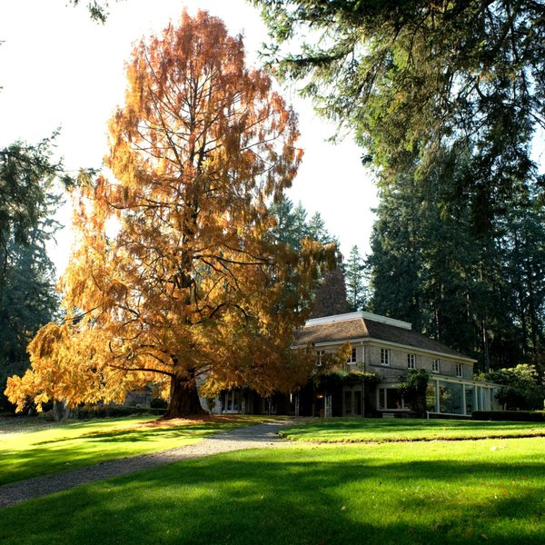 레이크우드 Lakewold Gardens 근처 맛집 Best 10 - Tripadvisor 레이크우드 Lakewold Gardens 근처 맛집 Best 10  - Tripadvisor