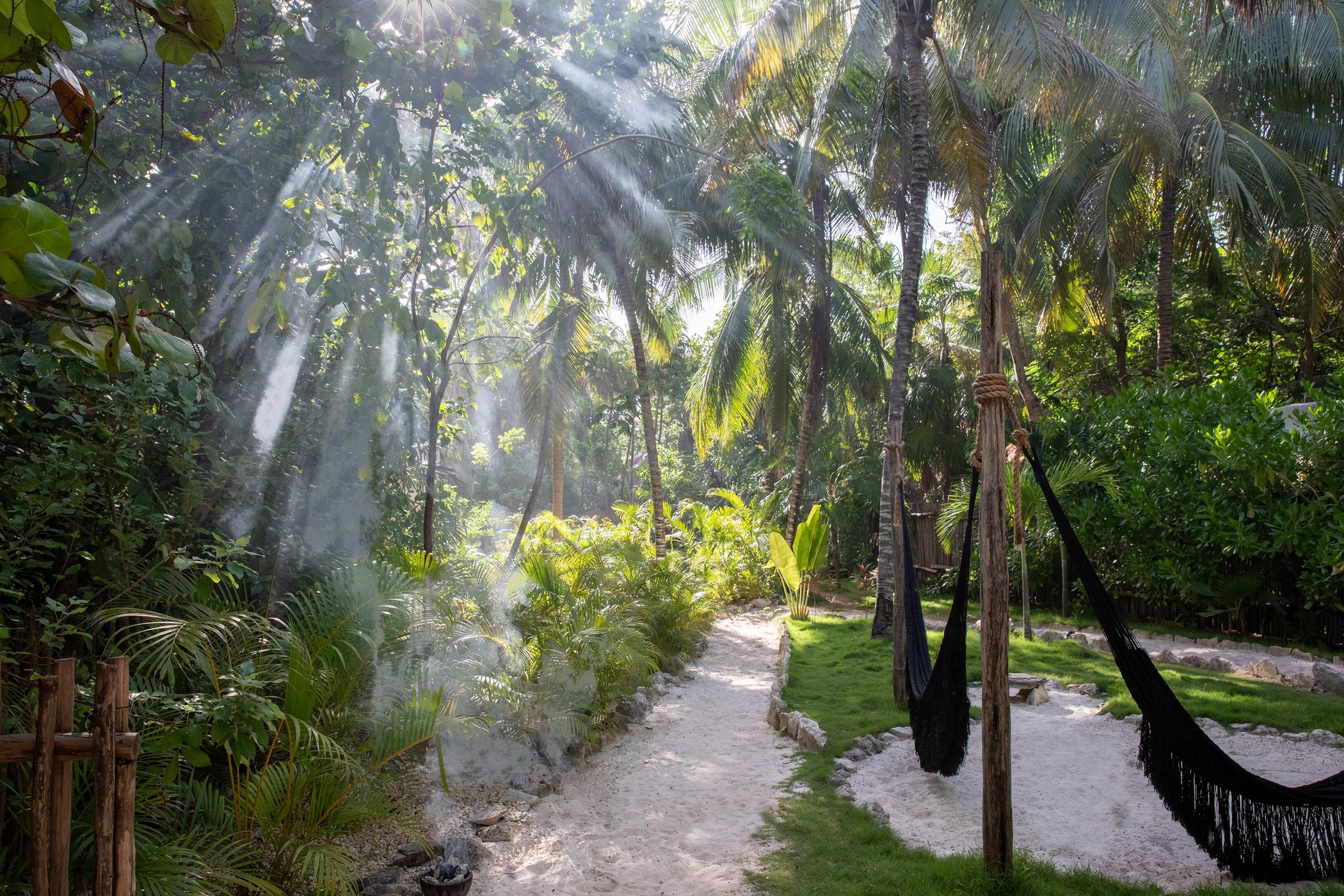 NEST Tulum by Google