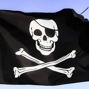 The Pirate Ship Black Raven 2024 - St Augustine