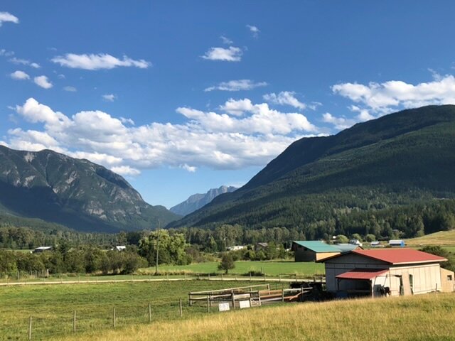 BROUSE CREEK B&B: Bewertungen, Fotos & Preisvergleich (Nakusp, Kanada ...