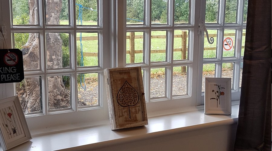 View from the kitchen window in Wisteria, our ground floor apartment