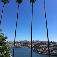 vue