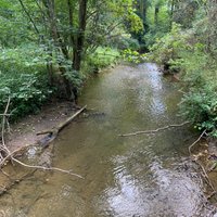 Coffee Creek Watershed Preserve (Chesterton) - All You Need to Know ...