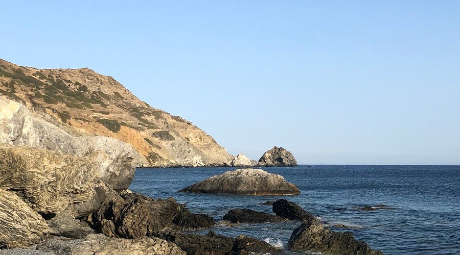 Cartolina 