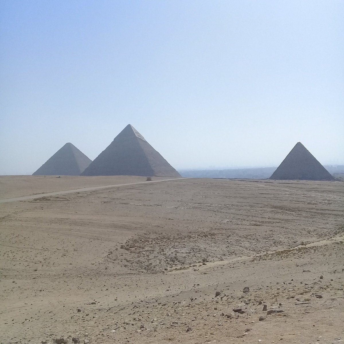 private tour guide cairo egypt