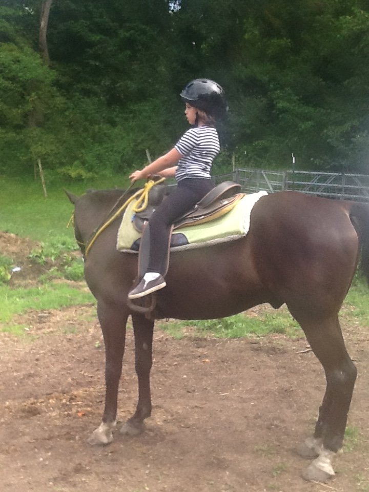 Top View Riding Ranch Blairstown All You Need To Know BEFORE You Go   Top View Riding Ranch 