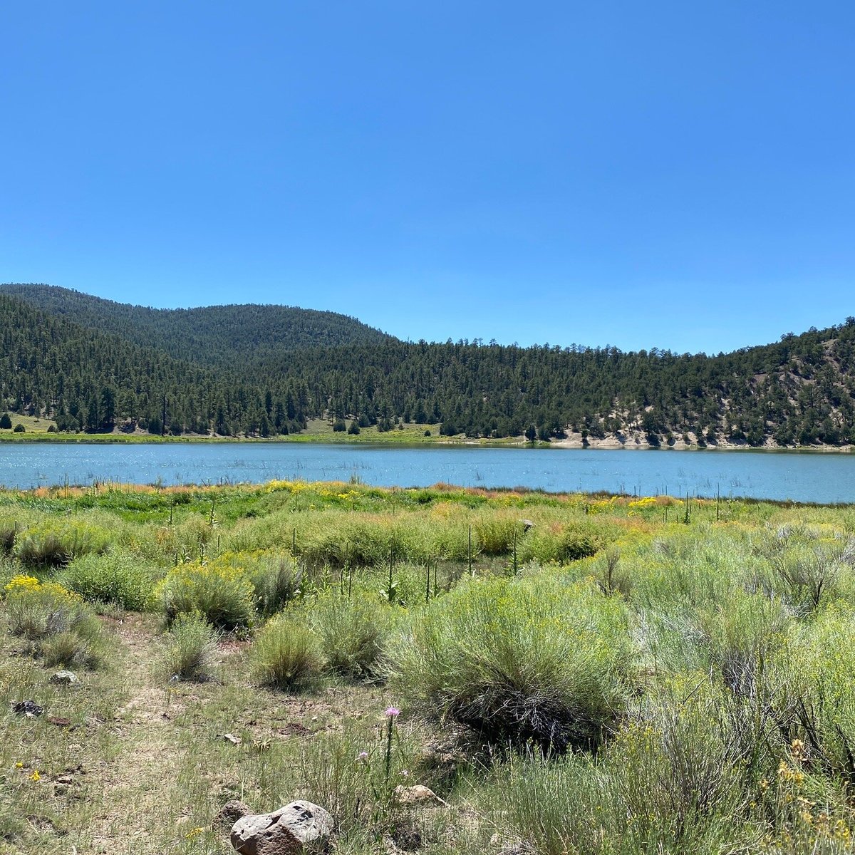 Quemado Lake - All You Need to Know BEFORE You Go (with Photos)