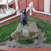 Guide Dog 🦮 Statue.
