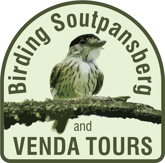 Birding Soutpansberg And Venda Eco-tours image