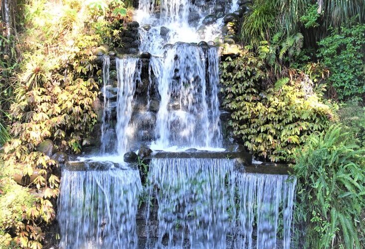 Pukekura Park New Plymouth