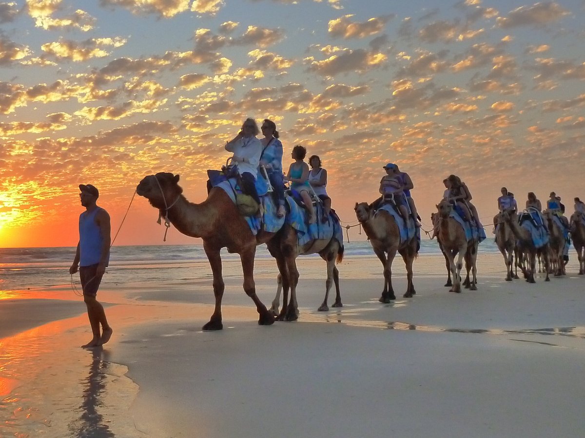 camel tours broome