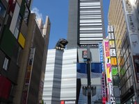 21年 ゴジラヘッド 行く前に 見どころをチェック トリップアドバイザー