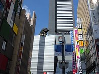 21年 ゴジラヘッド 行く前に 見どころをチェック トリップアドバイザー 21年 ゴジラヘッド 行く前に 見どころをチェック トリップアドバイザー