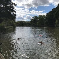 Highgate Bathing Pond (2025) - All You Need to Know BEFORE You Go