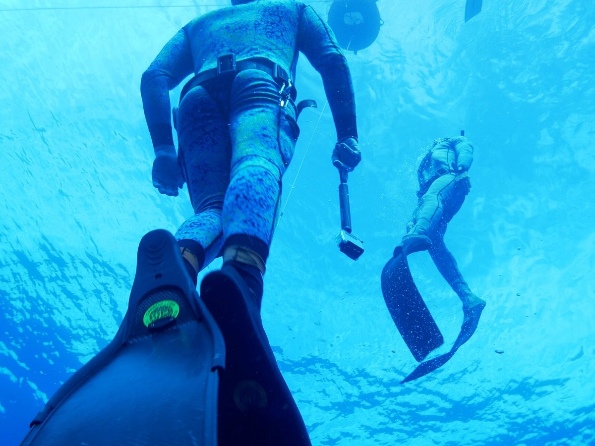 Composure Freediving (Kihei) - All You Need to Know BEFORE You Go