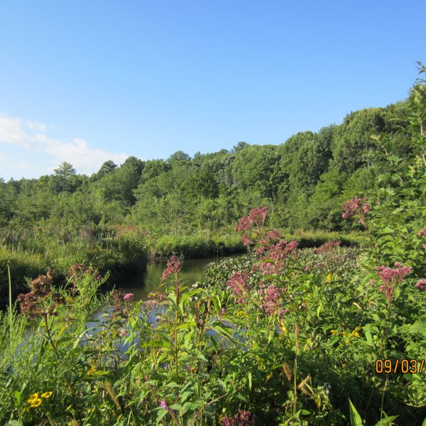 Dutchman's Landing Park All You Need to Know BEFORE You Go (2024)