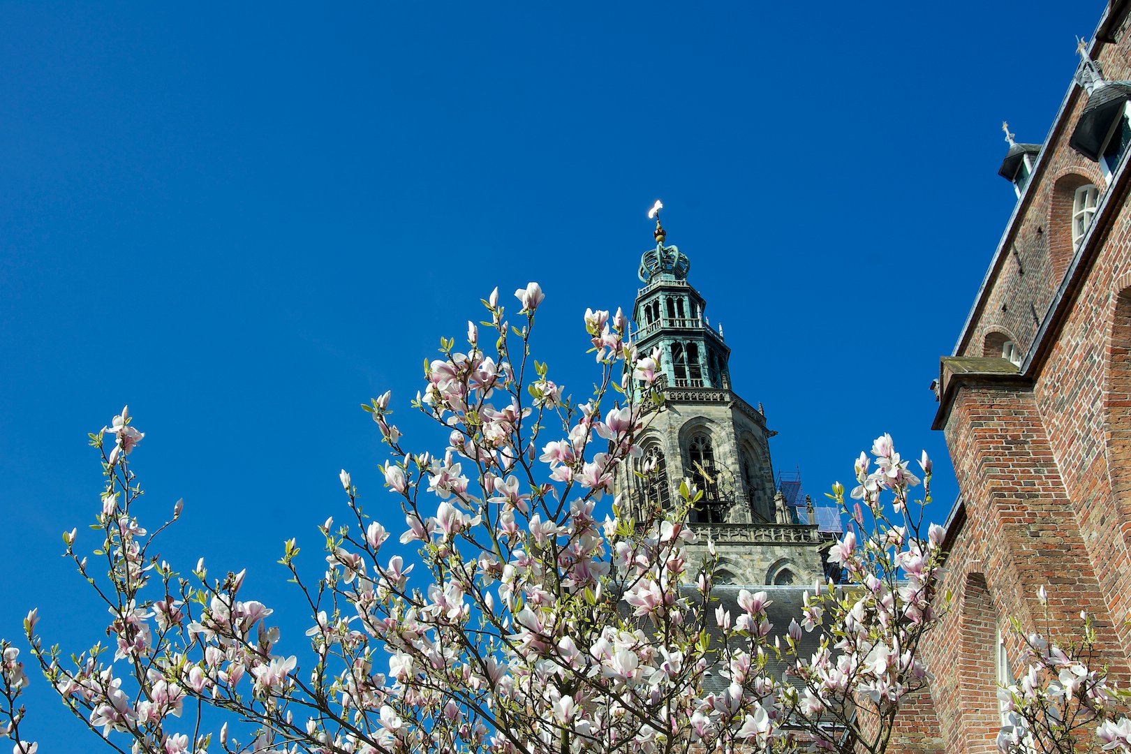 City Tours Groningen - All You Need To Know BEFORE You Go (2024)