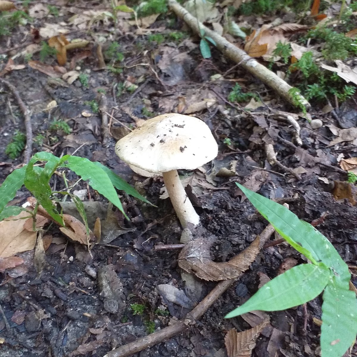 Sentiero naturalistico Gor (Budoia) Aktuelle 2021 Lohnt es sich