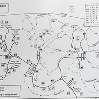 White Pines Forest State Park (Mount Morris) - All You Need to Know ...