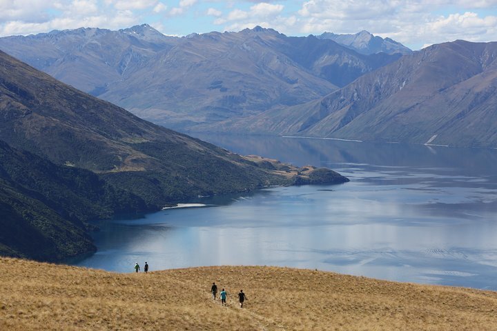 2024 Wanaka High Country Walk Provided By Ridgeline - Tripadvisor