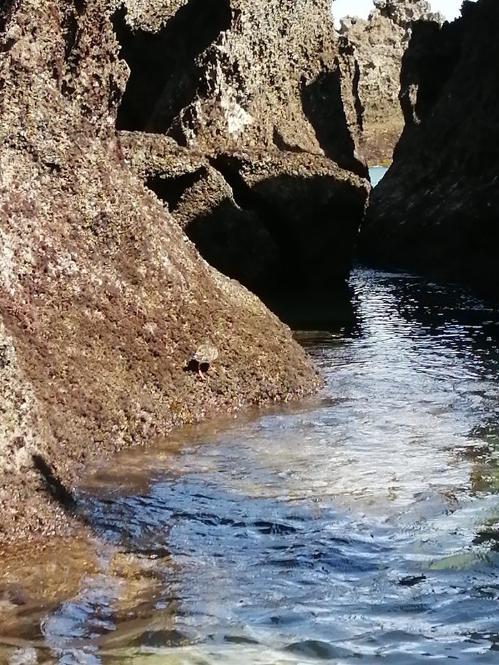 Imagen 10 de Playa de La Arena