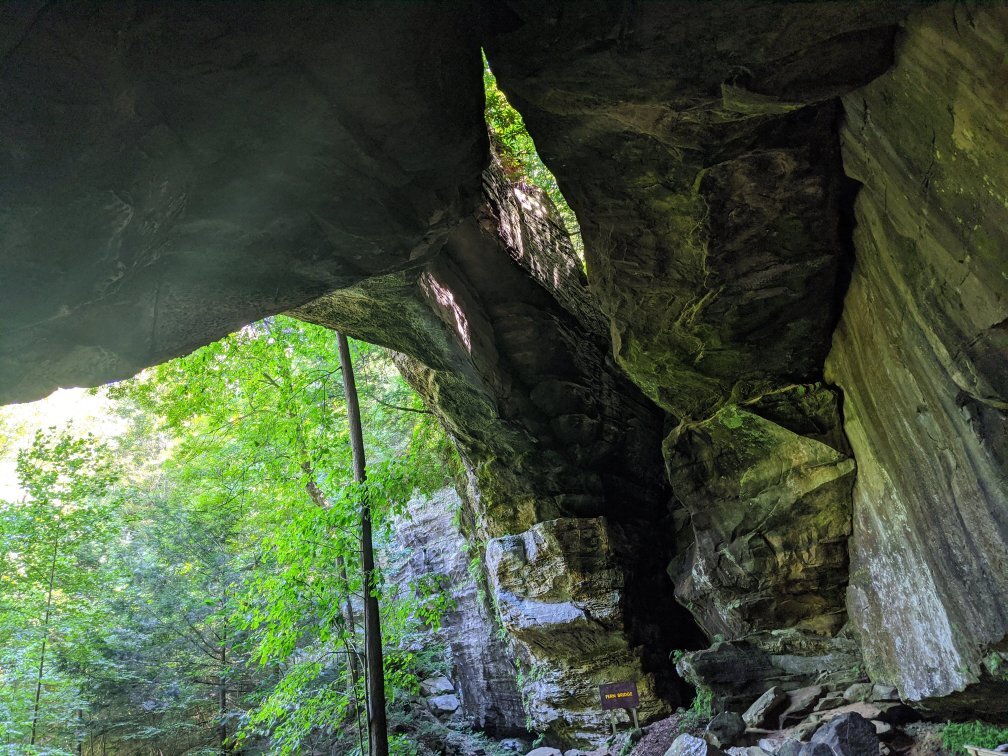 Carter Caves State Resort Park (Olive Hill) - Aktuelle 2021 - Lohnt Es ...