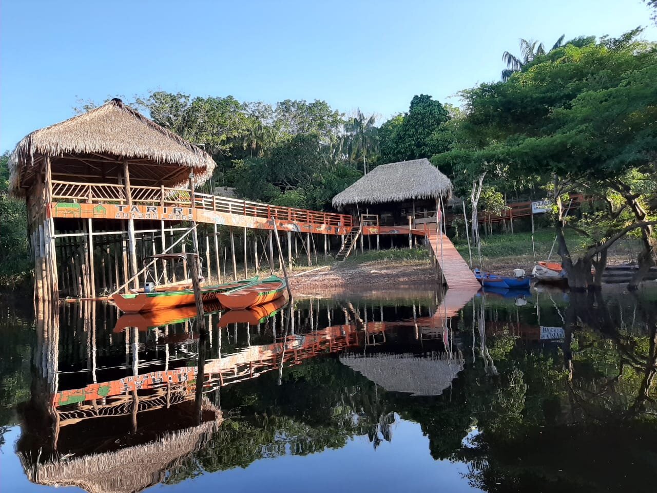 Tariri Amazon Lodge (아마존 강) - 호텔 리뷰 & 가격 비교
