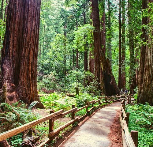 THE 15 BEST Things to Do in Marin County - 2022 (with Photos) - Tripadvisor