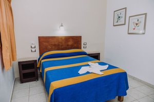 Habitación y suite