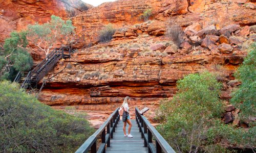 Kings Canyon est situé au coeur du parc national de Watarrka, à environ 300 kilomètres au nord d'Uluru. La randonnée qui suit la crête du canyon dure environ 4 heures, et offre des panoramas aussi impressionnants que les sites voisins d’Uluru et Kata Tjuta.