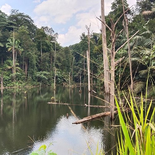 The 9 Best Nature Parks In Shah Alam Selangor