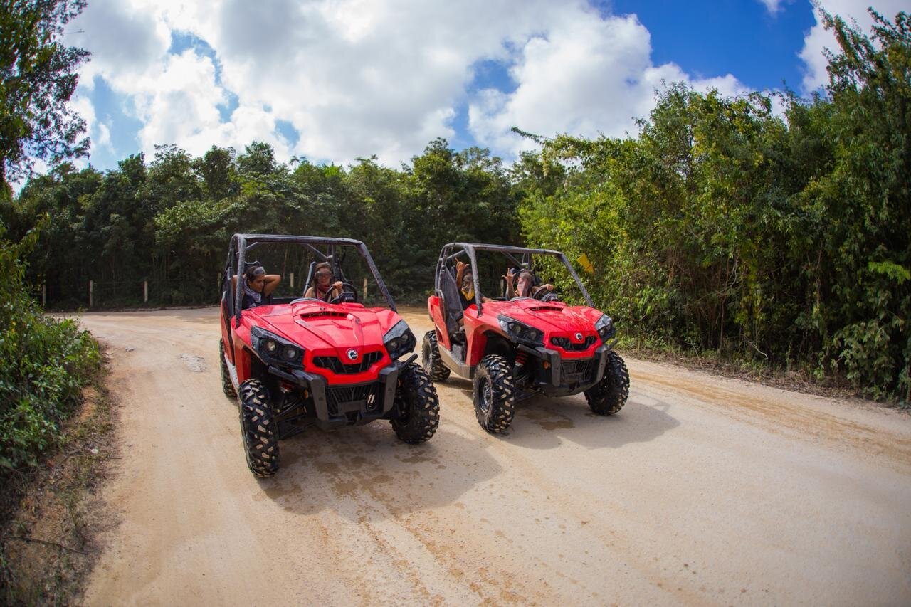 jungle tour playa del carmen