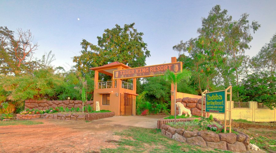 Tadoba Tiger King Resort: Experience Wild Luxury in Nature