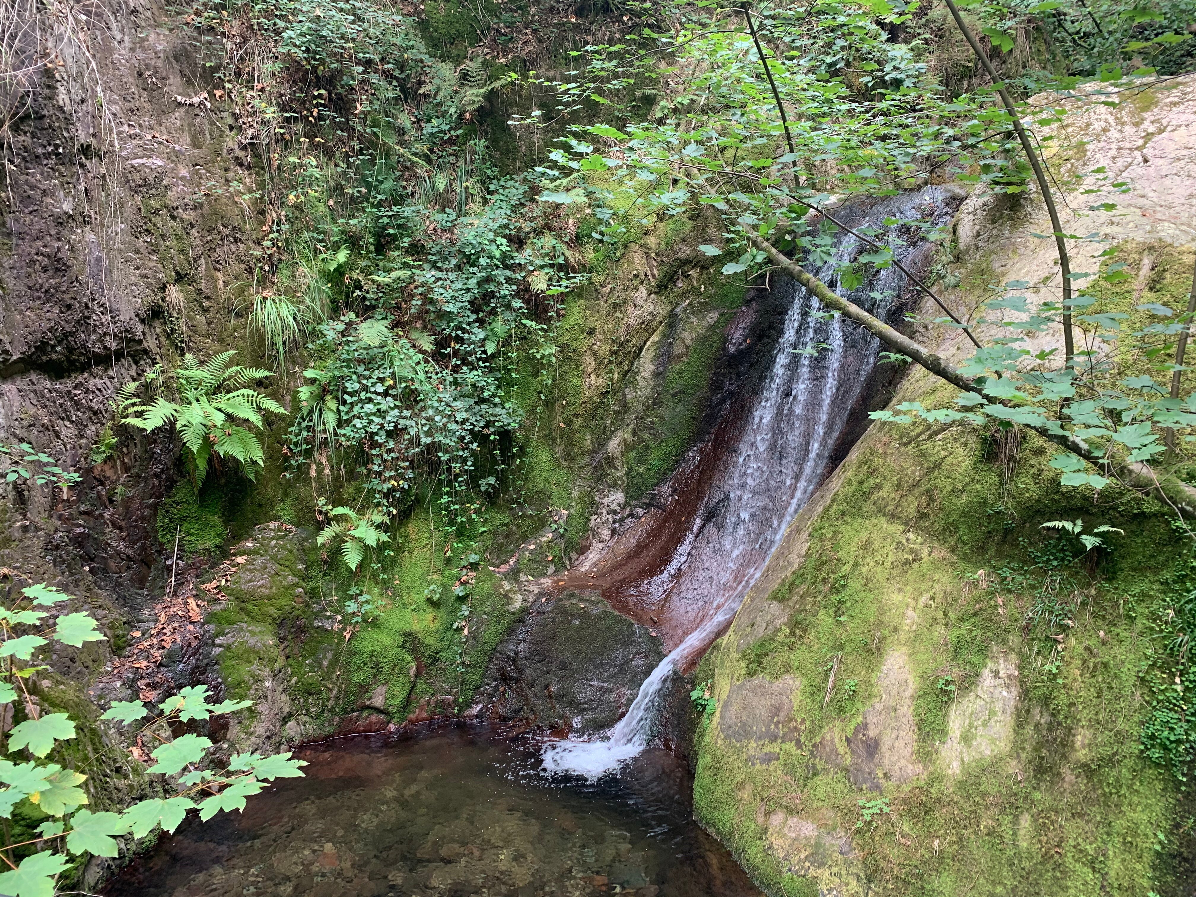 Edelfrauengrab-Wasserfaelle (Ottenhoefen Im Schwarzwald) - 2022 Alles ...