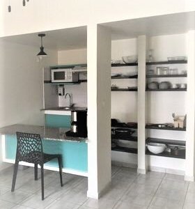 Kitchenette équipée de plaques à induction, four à micro ondes, réfrigérateur, cafetière et bouilloire électriques, évier, vaisselle, casseroles et ustensiles.