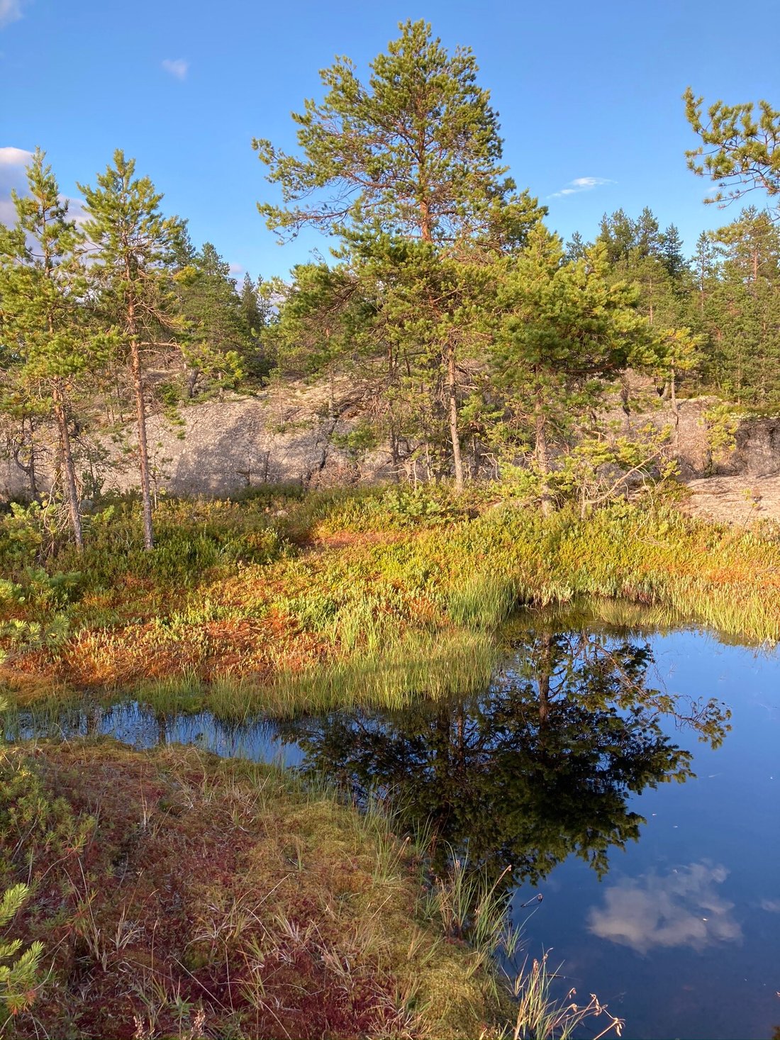 МЕСТЕЧКО СВЕТЛОЕ (Сортавала) - отзывы и фото - Tripadvisor